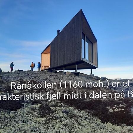 Bovervegen 19 Appartment Nr 9 Bjorli المظهر الخارجي الصورة