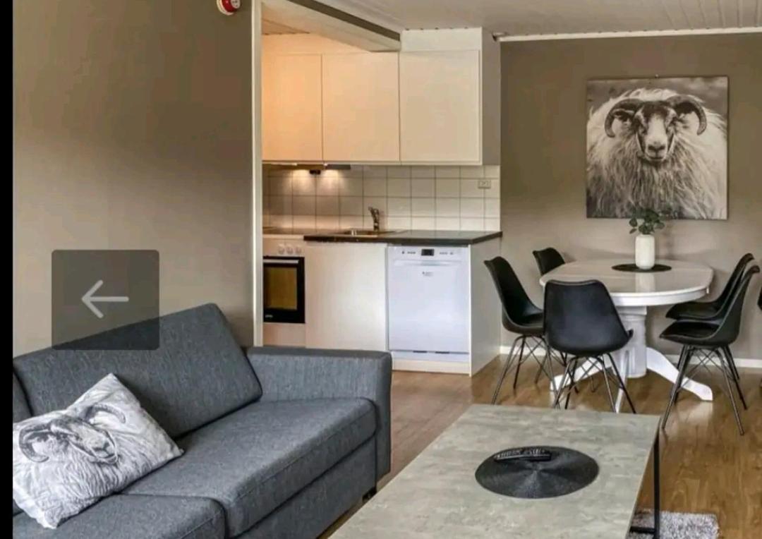 Bovervegen 19 Appartment Nr 9 Bjorli المظهر الخارجي الصورة